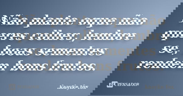 Não plante oque não queres colher, lembre se, boas sementes rendem bons frutos.... Frase de Kaayke Fox.