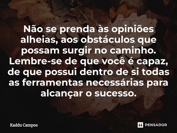 ⁠Não se prenda às opiniões alheias, aos obstáculos que possam surgir no caminho. Lembre-se de que você é capaz, de que possui dentro de si todas as ferramentas ... Frase de Kaddu Campos.