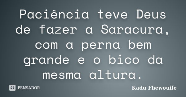 Paciência teve Deus de fazer a Saracura, com a perna bem grande e o bico da mesma altura.... Frase de Kadu Fhewouife.