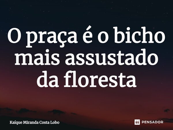 ⁠O praça é o bicho mais assustado da floresta... Frase de Kaique Miranda Costa Lobo.