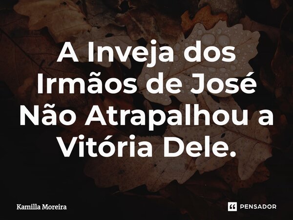 ⁠A Inveja dos Irmãos de José Não Atrapalhou a Vitória Dele.... Frase de Kamilla Moreira.
