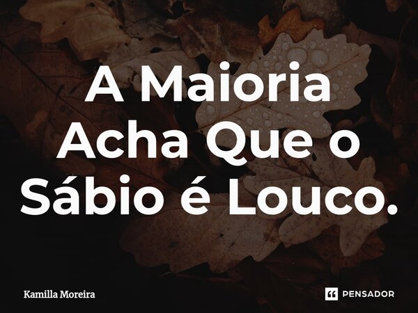⁠A Maioria Acha Que o Sábio é Louco.... Frase de Kamilla Moreira.