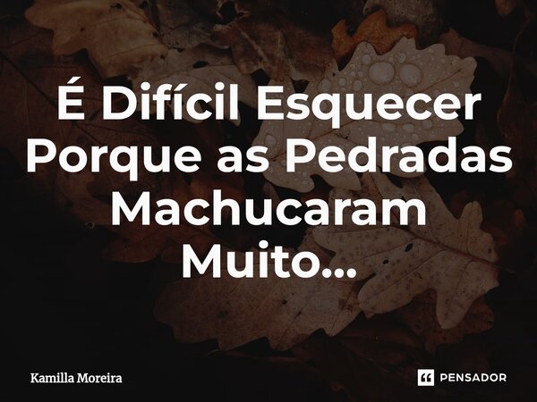 ⁠É Difícil Esquecer Porque as Pedradas Machucaram Muito...... Frase de Kamilla Moreira.