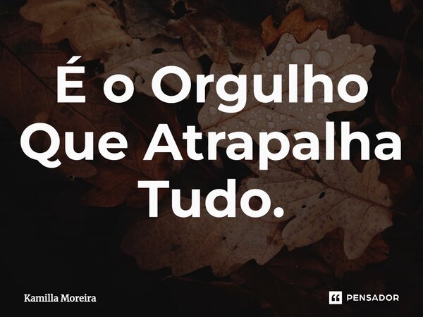⁠É o Orgulho Que Atrapalha Tudo.... Frase de Kamilla Moreira.