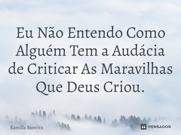 ⁠Eu Não Entendo Como Alguém Tem a Audácia de Criticar As Maravilhas Que Deus Criou.... Frase de Kamilla Moreira.