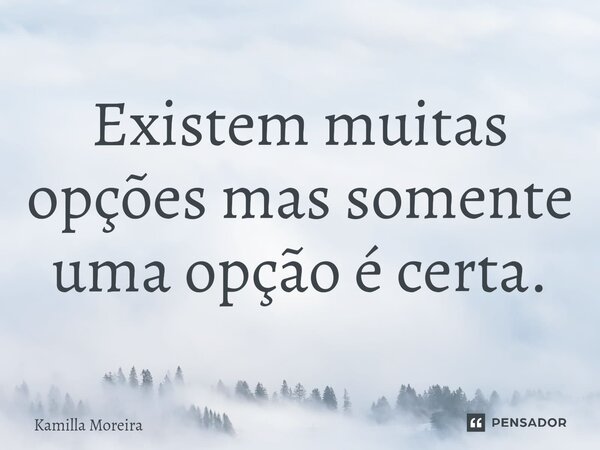 ⁠Existem muitas opções mas somente uma opção é certa.... Frase de Kamilla Moreira.