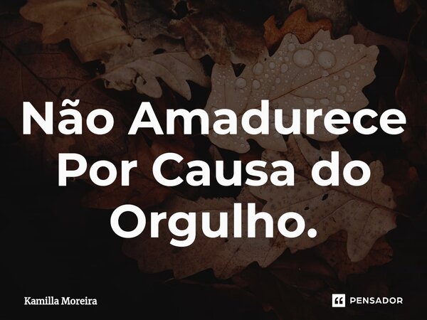 ⁠Não Amadurece Por Causa do Orgulho.... Frase de Kamilla Moreira.