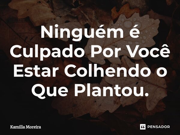 Ninguém é Culpado Por Você Estar Colhendo o Que Plantou.... Frase de Kamilla Moreira.