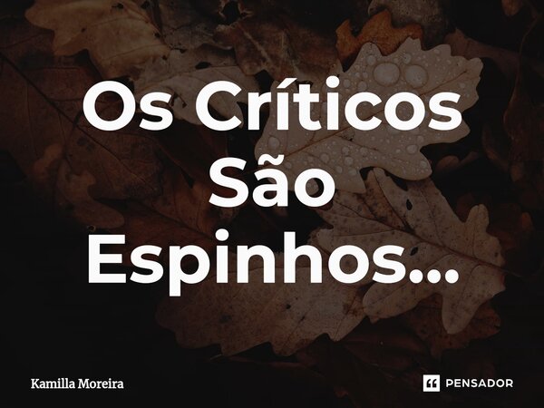 ⁠Os Críticos São Espinhos...... Frase de Kamilla Moreira.