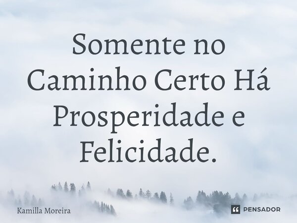 ⁠Somente no Caminho Certo Há Prosperidade e Felicidade.... Frase de Kamilla Moreira.