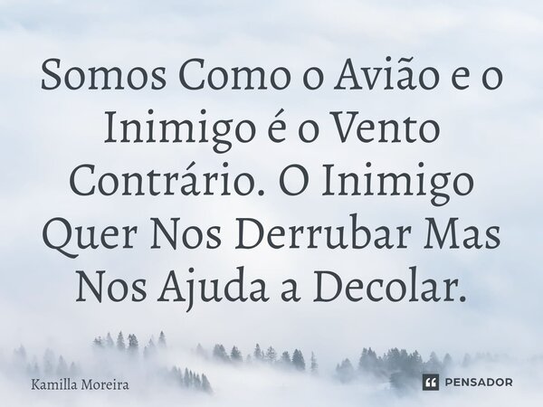 ⁠Somos Como o Avião e o Inimigo é o Vento Contrário. O Inimigo Quer Nos Derrubar Mas Nos Ajuda a Decolar.... Frase de Kamilla Moreira.