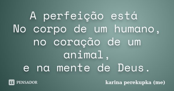 A perfeição está No corpo de um humano, no coração de um animal, e na mente de Deus.... Frase de karina perekupka (me).