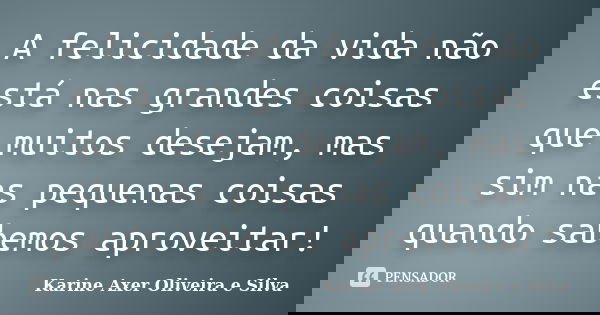 A felicidade da vida não está nas grandes coisas que muitos desejam, mas sim nas pequenas coisas quando sabemos aproveitar!... Frase de Karine Axer Oliveira e Silva.