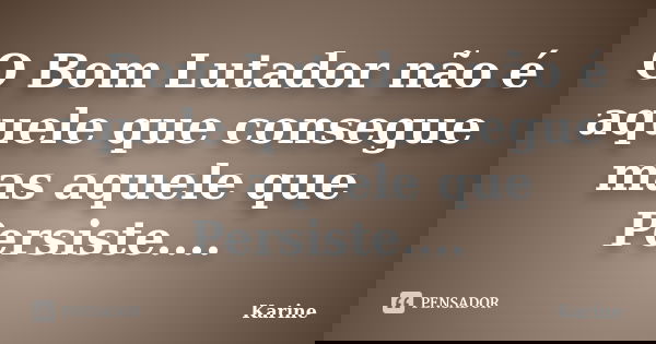 O Bom Lutador não é aquele que consegue mas aquele que Persiste....... Frase de Karine.
