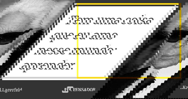 Tem uma coisa que eu amo nesse mundo: aprender.... Frase de Karl Lagerfeld.