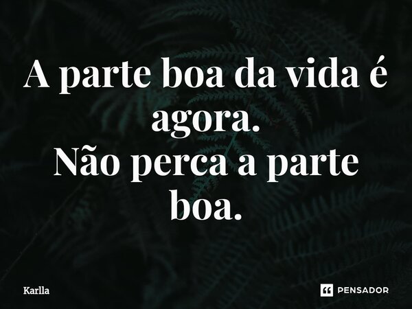 ⁠A parte boa da vida é agora. Não perca a parte boa.... Frase de Karlla.