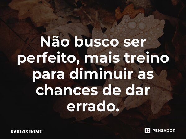 ⁠Não busco ser perfeito, mais treino para diminuir as chances de dar errado.... Frase de KARLOS ROMU.