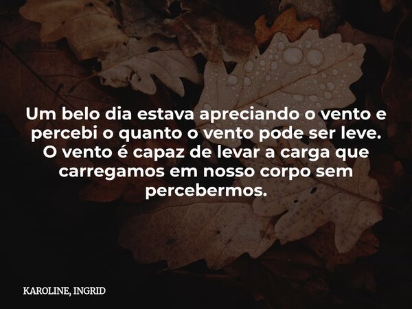 Um belo dia estava apreciando o vento e percebi o quanto o vento pode ser leve. O vento é capaz de levar a carga que carregamos em nosso corpo sem percebermos.... Frase de KAROLINE, INGRID.