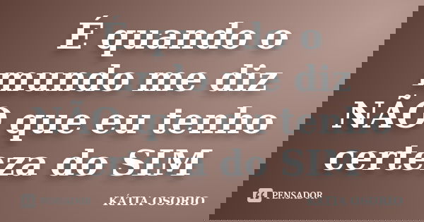 É quando o mundo me diz NÃO que eu tenho certeza do SIM... Frase de Kátia Osório.