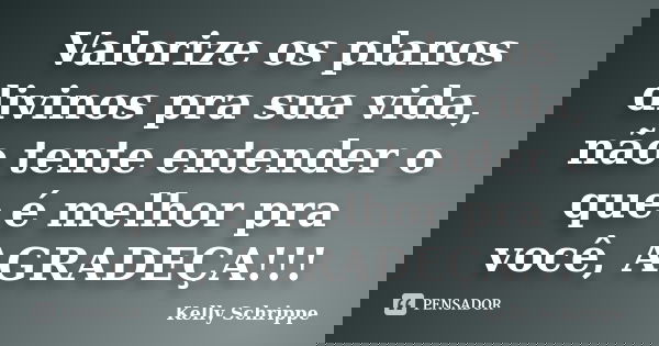 Valorize os planos divinos pra sua vida, não tente entender o que é melhor pra você, AGRADEÇA!!!... Frase de Kelly Schrippe.