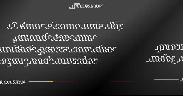 O Amor é como uma flor, quando tens uma oportunidade agarra com duas mãos, porque pode murchar.... Frase de Kelvin Sitole.