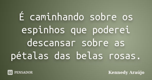 É caminhando sobre os espinhos que poderei descansar sobre as pétalas das belas rosas.... Frase de Kennedy Araújo.