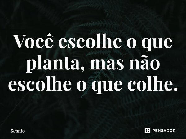 ⁠Você escolhe o que planta, mas não escolhe o que colhe.... Frase de Kennto.