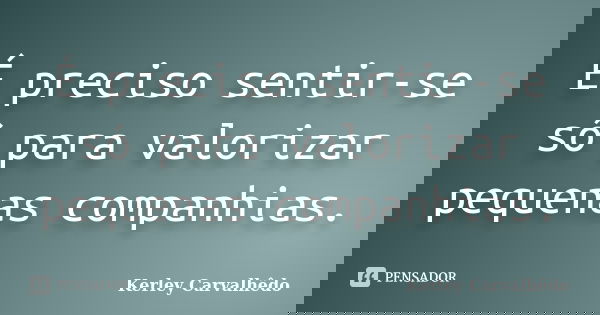É preciso sentir-se só para valorizar pequenas companhias.... Frase de Kerley Carvalhêdo.
