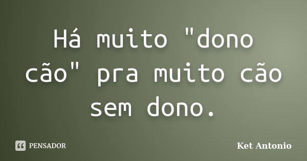 Há muito "dono cão" pra muito cão sem dono.... Frase de Ket Antonio.