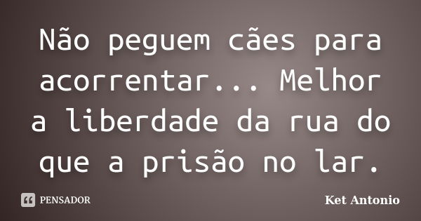 Não peguem cães para acorrentar... Melhor a liberdade da rua do que a prisão no lar.... Frase de Ket Antonio.