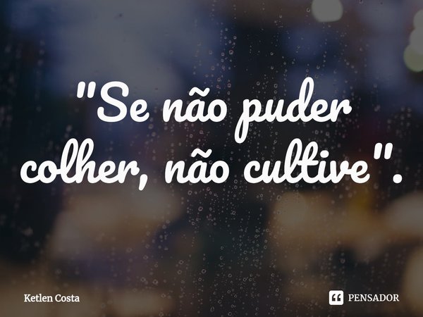 ⁠"Se não puder colher, não cultive".... Frase de Ketlen Costa.