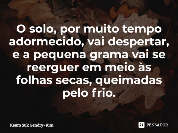 ⁠O solo, por muito tempo adormecido, vai despertar, e a pequena grama vai se reerguer em meio às folhas secas, queimadas pelo frio.... Frase de Keum Suk Gendry-Kim.