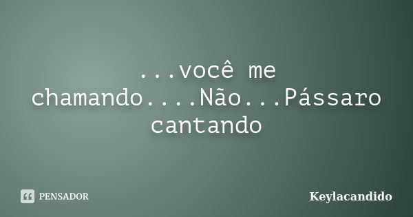 ...você me chamando....Não...Pássaro cantando... Frase de keylacandido.