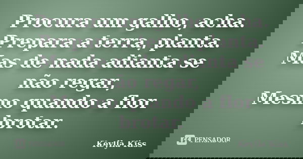 Procura um galho, acha. Prepara a terra, planta. Mas de nada adianta se não regar, Mesmo quando a flor brotar.... Frase de Keylla Kiss.