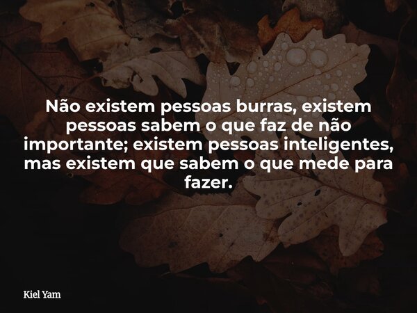 Não existem pessoas burras, existem pessoas sabem o que faz de não importante; existem pessoas inteligentes, mas existem que sabem o que mede para fazer.... Frase de Kiel Yam.