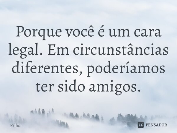Porque você é um cara legal⁠. Em circunstâncias diferentes, poderíamos ter sido amigos.... Frase de Killua.