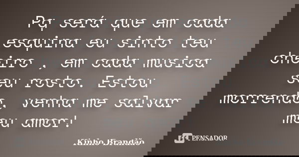 Pq será que em cada esquina eu sinto teu cheiro , em cada musica seu rosto. Estou morrendo, venha me salvar meu amor!... Frase de Kinho Brandão.