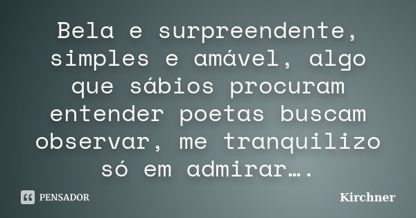 Bela e surpreendente, simples e amável, algo que sábios procuram entender poetas buscam observar, me tranquilizo só em admirar….... Frase de Kirchner.