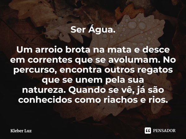 ⁠Ser Água. Um arroio brota na mata e desce em correntes que se avolumam.No percurso, encontra outros regatos que se unem pela sua natureza.Quando se vê, já são ... Frase de Kleber Luz.