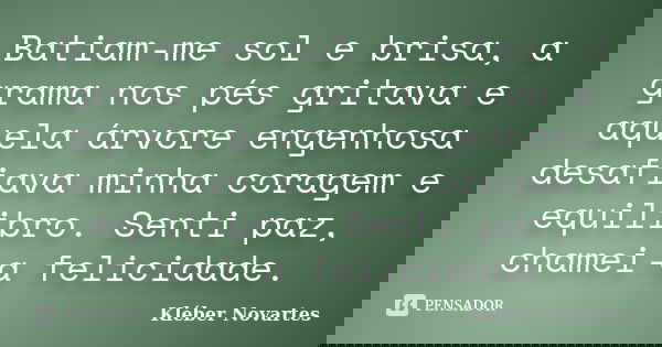 Batiam-me sol e brisa, a grama nos pés gritava e aquela árvore engenhosa desafiava minha coragem e equilibro. Senti paz, chamei-a felicidade.... Frase de Kléber Novartes.