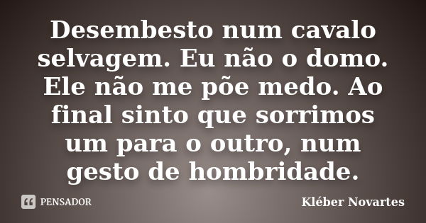 Desembesto num cavalo selvagem. Eu não o domo. Ele não me põe medo. Ao final sinto que sorrimos um para o outro, num gesto de hombridade.... Frase de Kléber Novartes.