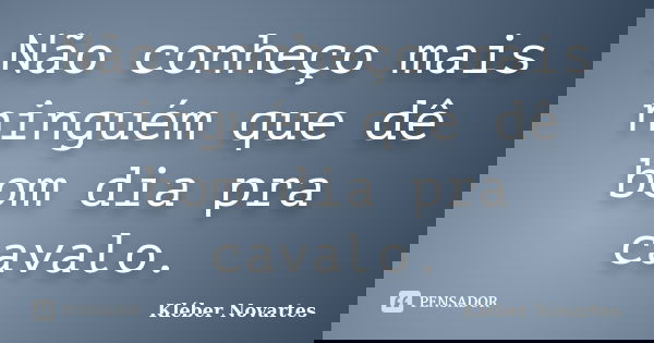 Não conheço mais ninguém que dê bom dia pra cavalo.... Frase de Kléber Novartes.