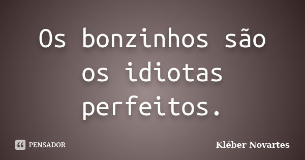 Os bonzinhos são os idiotas perfeitos.... Frase de Kléber Novartes.