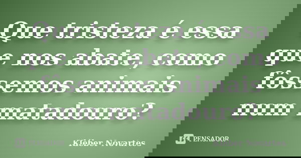 Que tristeza é essa que nos abate, como fôssemos animais num matadouro?... Frase de Kléber Novartes.