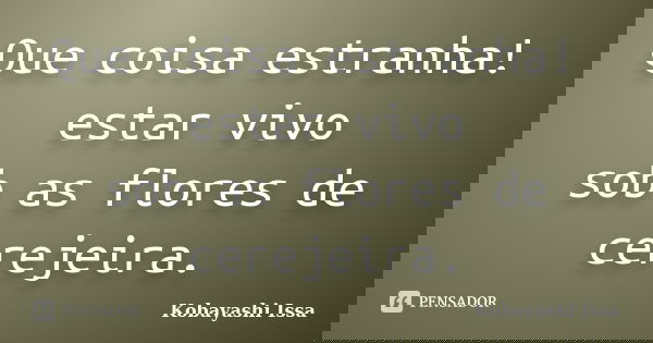 Que coisa estranha! estar vivo sob as flores de cerejeira.... Frase de Kobayashi Issa.