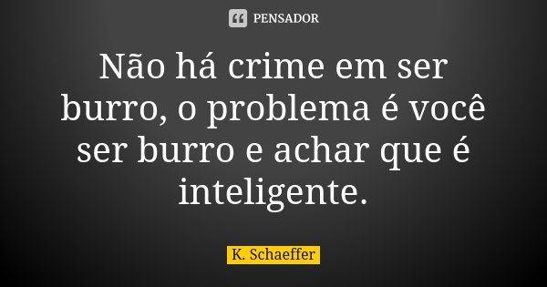 Não há crime em ser burro, o problema é você ser burro e achar que é inteligente.... Frase de K. Schaeffer.