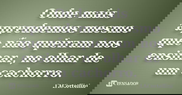 Onde mais aprendemos mesmo que não queiram nos ensinar, no olhar de um cachorro.... Frase de LACortellini.