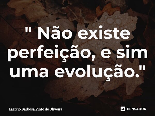 ⁠" Não existe perfeição, e sim uma evolução."... Frase de Laércio Barbosa Pinto de Oliveira.