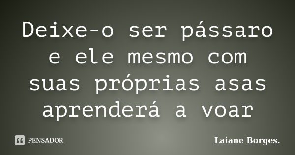 Deixe-o ser pássaro e ele mesmo com suas próprias asas aprenderá a voar... Frase de Laiane Borges.