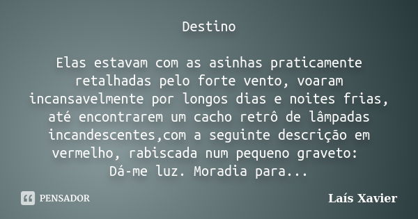 Destino Elas estavam com as asinhas praticamente retalhadas pelo forte vento, voaram incansavelmentepor longos dias e noites frias, até encontrarem um cacho ret... Frase de Lais Xavier.